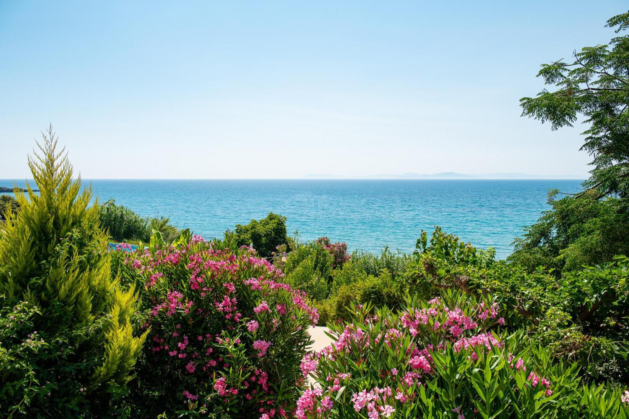 Mare Dei Suites Hotel Ionian Resort Skafidia Exteriör bild