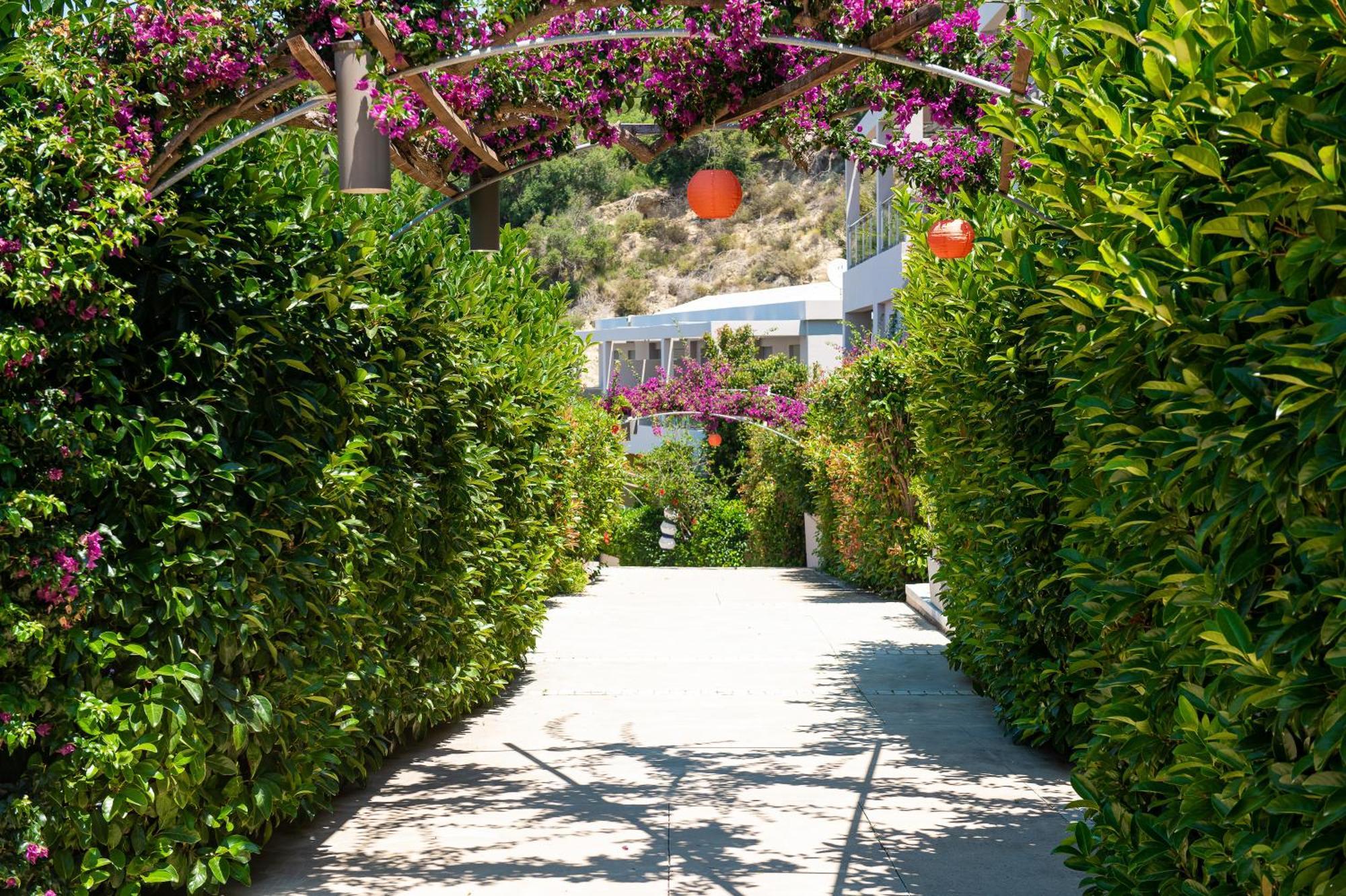 Mare Dei Suites Hotel Ionian Resort Skafidia Exteriör bild
